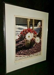 Rare Signed Print Numbered Desert Cactus Arborist Flower Garden Home Decor 12×14
