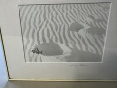 Signed Marilyn Littman Original B&W Photograph Framed Rose Sand Dunes