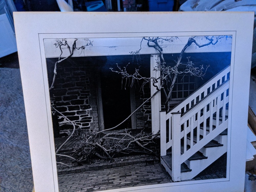 STAIRS & VINES LARGE ORIGINAL SIGNED ART PHOTO B&W STETTNER VTG MATTE NJ CAMERA
