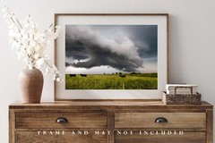 Storm Photography Print: Kansas Cows Thunderstorm Country Weather Cattle Photo