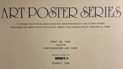 RARE Vintage 1983 Art Poster Series 700B Art Gore Photograph “Violets” Framed