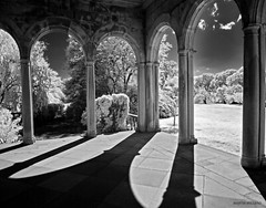 Beautiful 11×14 infrared photo. Mounted on 11×14 board great for framing.
