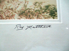 Mare and Foal Wild Horses Grazing by Ocean Photograph Signed Ray Matthews