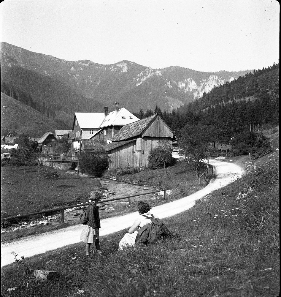 NASSWALD, small village, by Eduard PEZDIKA, vintage fine art negative! 1933,