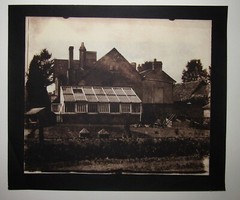 Robert Steinberg Original Albumen Photograph Listed Contemporary Photographer
