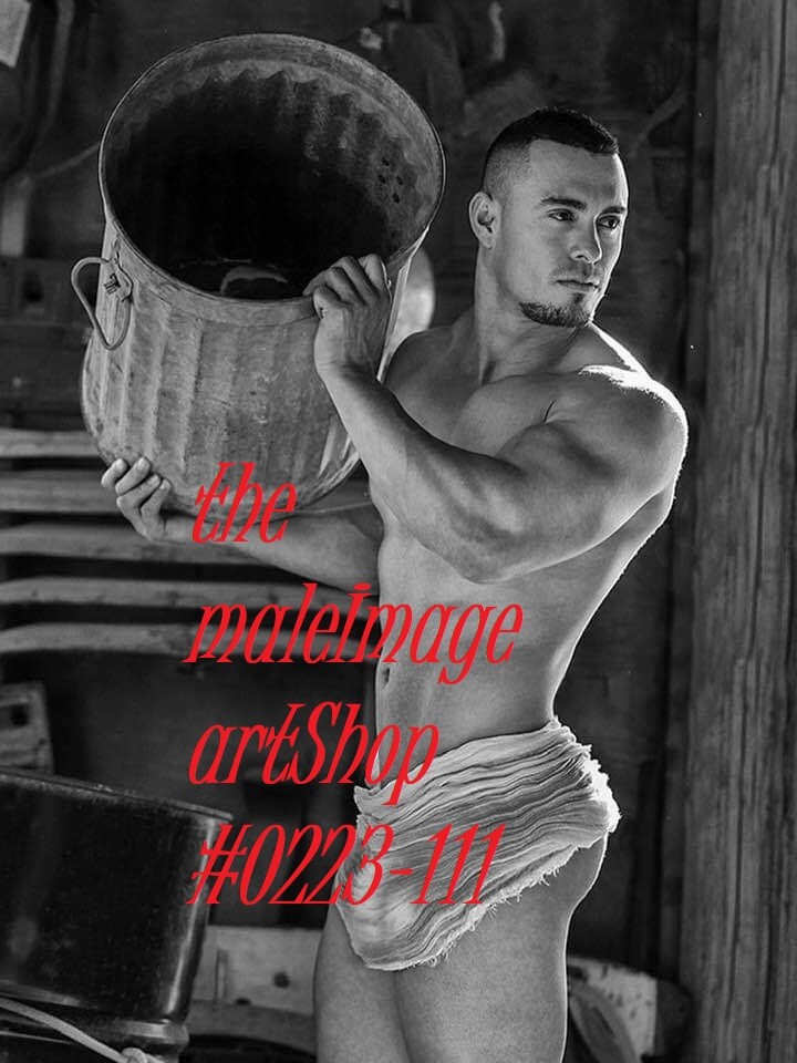 MALE PORTRAIT #0223-111- free shipping in usa