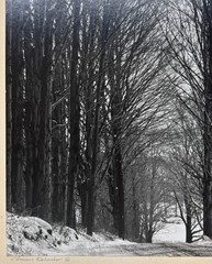 Original CLEMENS KALISCHER ‘Path in the Woods POWNAL VERMONT’ Landscape PHOTO