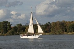 Tall Ships from Sultana Downrigging Festival, Pick One Image – Various Sizes