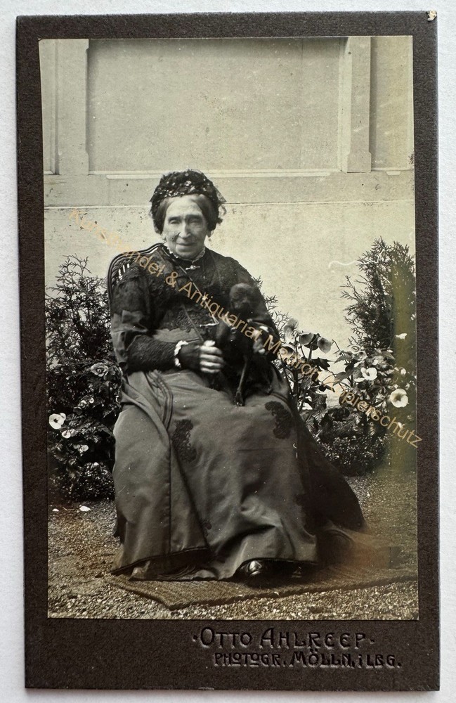 orig. CDV photo photograph old picture woman lady fashion around 1890 dog animal Mölln