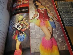 kawaii Kamen joshi Photo book Illustrated reference book 2014