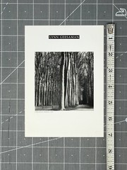 Lynn Geesaman (1838-2020) Art Show Announcement Card 2001