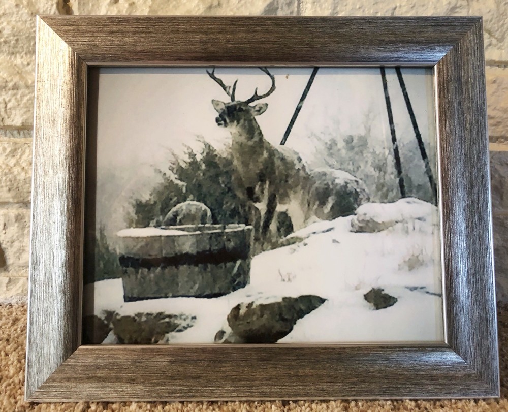 Snow Buck Photograph 8 x10 Silver Frame Deer Hunter Nature Outdoors Art Winter