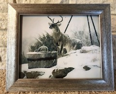 Snow Buck Photograph 8 x10 Silver Frame Deer Hunter Nature Outdoors Art Winter