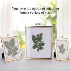 8×10 Picture Frame – Set of 5, Matte Gold 8 x 10 Photo Frame with High-Defini…
