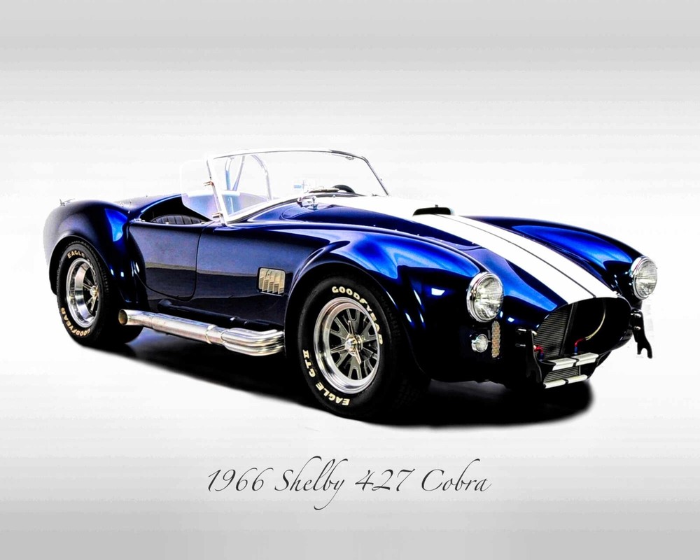 Classic Cars – 1966 Shelby 427 Cobra – Print