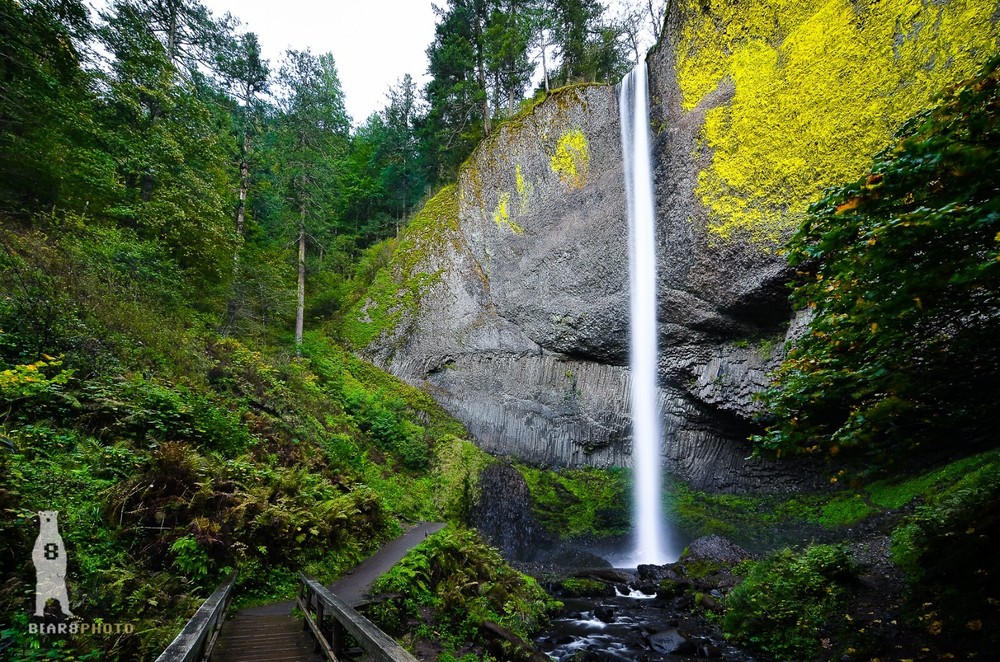 Latourell Falls – Columbia River Gorge – Oregon Waterfalls – PNW Photo Prints