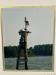 Original Signed Photograph Robin Marshall Waterfowl Osprey And Nest 11×14’’