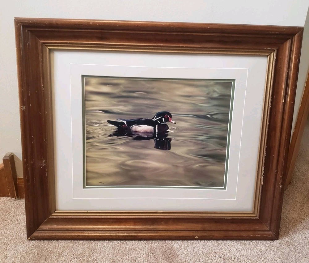 Thomas Mangelsen Signed Numbered Limited Photo Print Duck 386/959