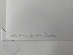 Arno Rafael Minkkinen «Waiting for the Snake» Silver Gelatin Signed Numbered