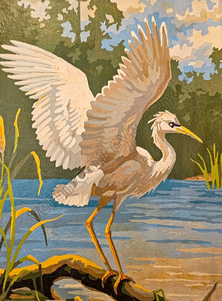 Egret on Branch About to Fly Instant DOWNLOAD Nature Bird Cabin Dopamine Art