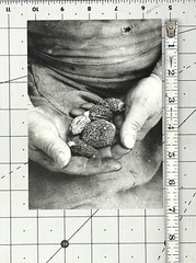 Tessa Traeger (b. 1933) Art Announcement Card 1998 – Ardèche – Witkin Gallery NY