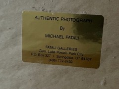 Michael Fatali «Sleeping Turtles» Authentic Framed Hand-Signed Photograph 1999
