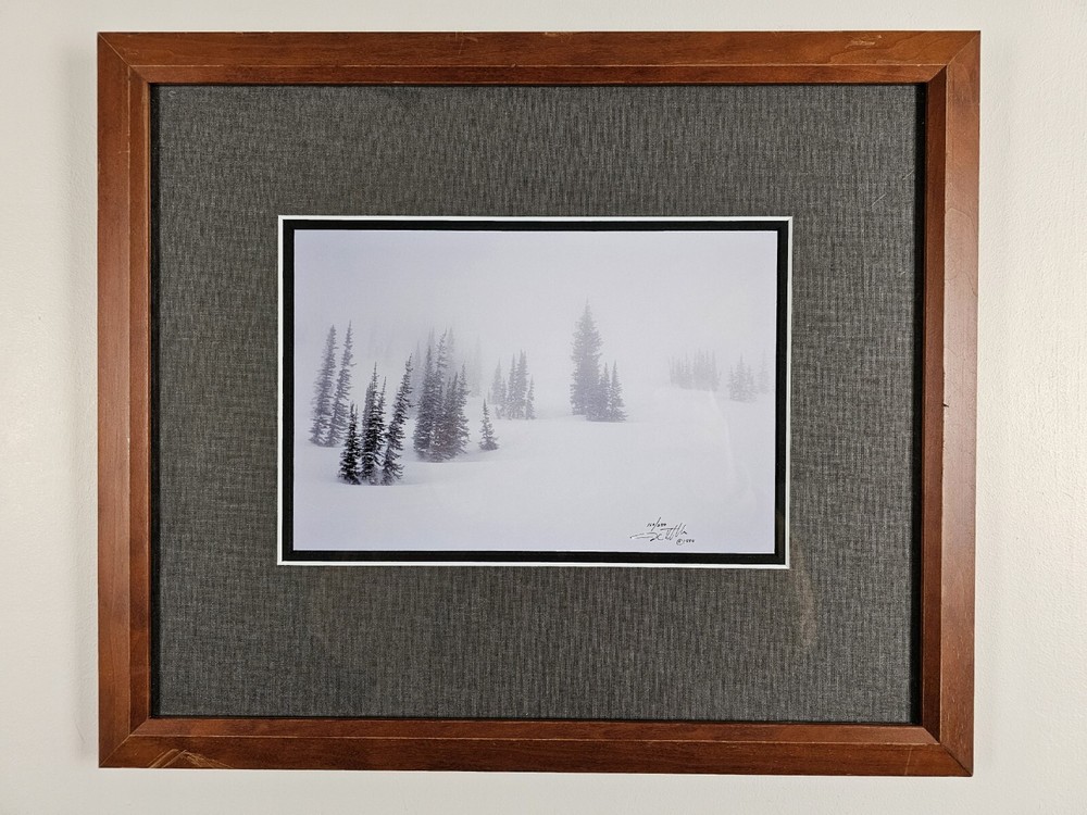 Signed David Whitten Limited Edition 35mm Photograph Print 17.5×14.75 Framed Art