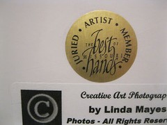 Linda Mayes 2004 Yellow Tulip Sway 6X9 matted 14X11 Creative Art Photography