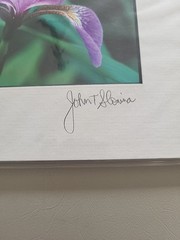 Photography Print By John T Slonina Matted 8×10 Close Up Of An Iris Flower