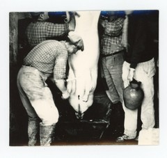 Mario Giacomelli Italy Photo Abattoir Slaughterhouse 1960s Vintage Italian