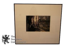 Pencil Signed David Malcolm Scott Woods Sunshine Framed Original Photograph