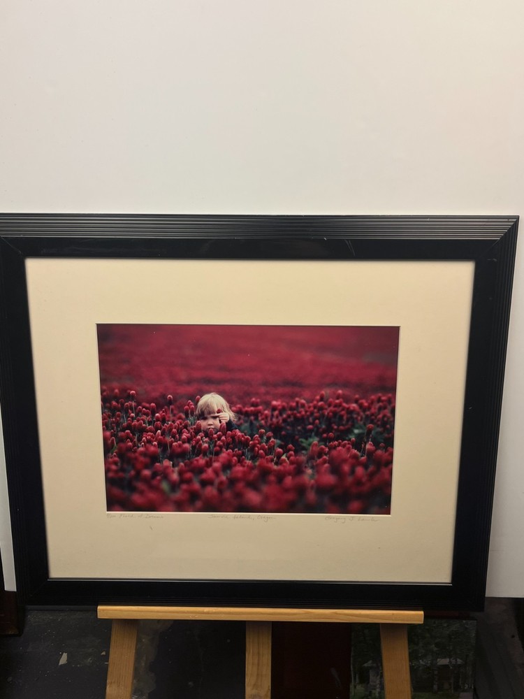 Original Signed Gregory Lawler, Framed Limited Edition- «Field of Dreams»