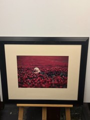 Original Signed Gregory Lawler, Framed Limited Edition- «Field of Dreams»