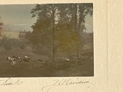 Rare David Davidson Hand Colored Photo «The Siesta» Cows In A Wooded Field