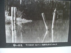MATTED PHOTOGRAPHY Collage of Florida Photos by Larry Santucci 15×11.5 B&W