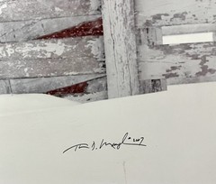 Thomas D. Mangelsen “Shelter from the Storm” Signed #209/2500 Framed Owl Barn