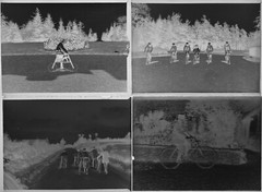 Lot of 11 negatives on glass plate. Portrait with bikes. Format 9×12 cm