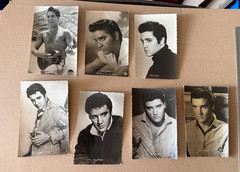 7x Elvis Presley Hummingbird Photo Card Vintage The King Postcard Post Card