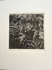 BRUCE BLUM SIGNED B&W Photo Print (10″X 10″)-«Bench and Leaves-2 «