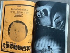 Super RARE! Asahi Camera, 1971, 7, Daido Moriyama, Takuma Nakahira, Magazine