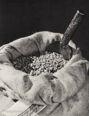 1947 Original Coffee Beans Kitchen Food JEAN CHARPIE Vintage Photo Gravure Art