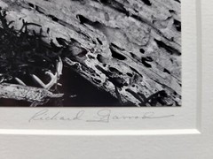 Richard Garrod, gelatin silver B&W photography art original