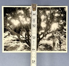 Sebastião Salgado Art Photo Print Card – Thailand, 1987