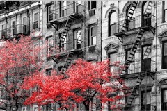 Canvas Of Soho, The Buildings In Black/White/Red Trees 48x32x1.5″ Giclle Print