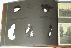 Photo Album Rheimdampfer Bad Wildungen Werder Rothenburg Polar Bear Photos 1935