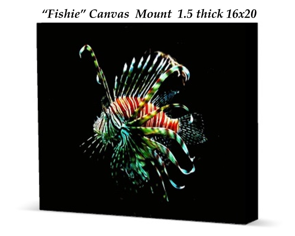 Reduced 16×20 «Fishie»1.5 Inch thick canvas print orginal artwork by Ken Tucker