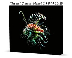 Reduced 16×20 «Fishie»1.5 Inch thick canvas print orginal artwork by Ken Tucker