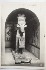 Vintage Original Silver Gelatin Bromide Photo Egypt Cairo Museum 13x18cm