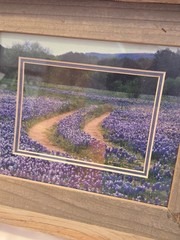 DAN RICHARDS Texas Hill County Blue Bonnet Flower Framed Matted Photograph Cedar