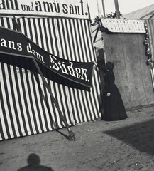 Heinrich Zille, the roses from the south, photograph from the estate, 1900/1997